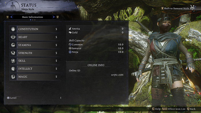 Nioh 3 character status screen displaying base stats like Constitution, Strength, and Skill Capacity in Ninja Style.