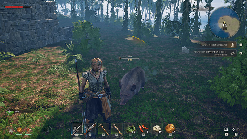 In-game scene from Windrose showing a character holding a spear in a misty forest, facing an approaching boar. The ground is covered in moss and plants, with stone ruins on the left. The top-right displays a mini-map and quest notification, while the bottom shows an inventory bar with weapons and food.