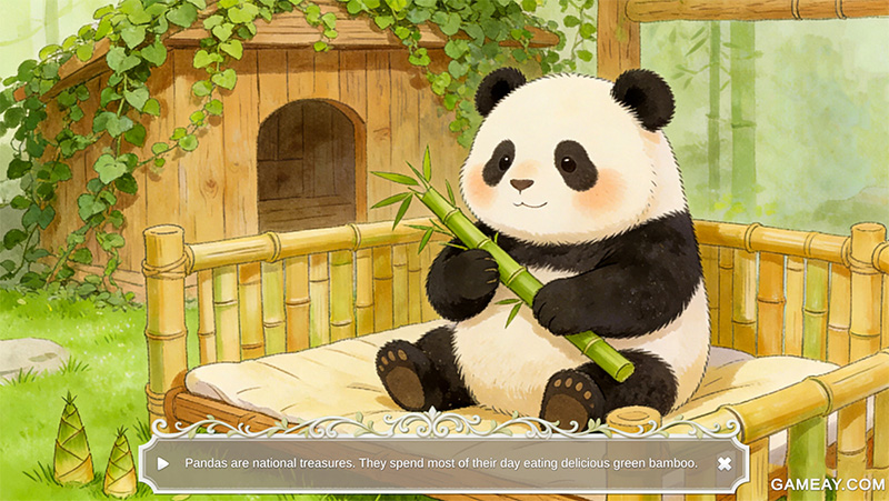 Educational card: Panda eating bamboo with text “Pandas are national treasures and spend most of their day eating green bamboo.”