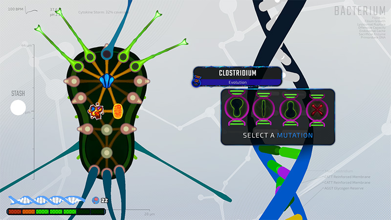 Evolution screen for “Clostridium”. Central organism with radial organelle slots. Pop-up shows 4 mutation options (e.g., reinforced membrane, glycogen reserve); user selects one to apply.