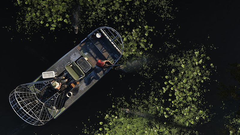 GTA6 official scene: Top-down view of an airboat navigating dark swamp water dotted with green lily pads; two occupants aboard—one steering, one seated near a metal cage at the bow—with an alligator visible nearby in the water.